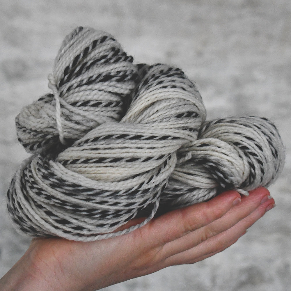 Type 49213 - Zebra DK